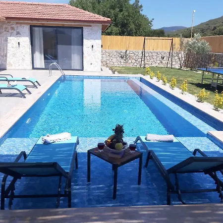 Villa Velsem *